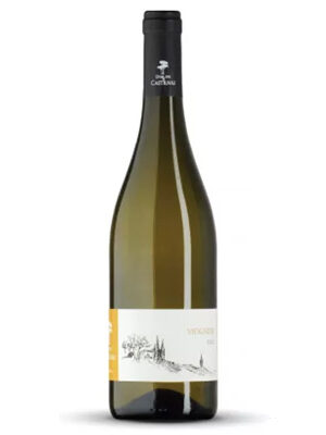 Viognier - Domaine Saint Firmin, Uzès
